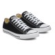 ZAPATOS CONVERSE CHUCK TAYLOR ALL STAR NEGRO M9166C