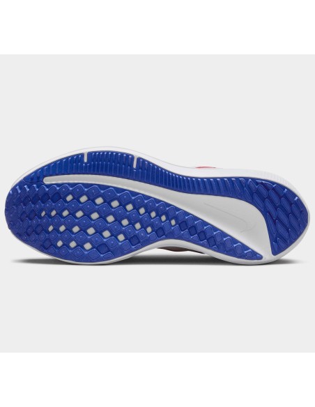 ZAPATOS NIKE AIR WINFLO 10 BEA DV4022 006