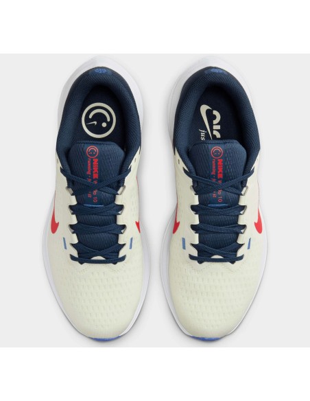 ZAPATOS NIKE AIR WINFLO 10 BEA DV4022 006