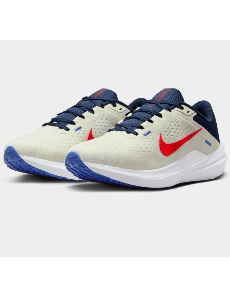ZAPATOS NIKE AIR WINFLO 10 BEA DV4022 006